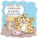 무지개교육