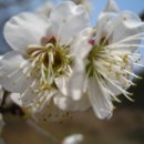 옥천목장 이미지