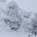 제주의 추억 이미지