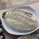 동일횟집 | 대포항 횟집 동일활어회센터,테라스 뷰 맛집 모듬회 후기