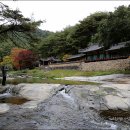 석천농로 이미지