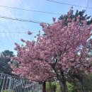 클라우드커피숍 이미지