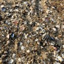 더캠프PC 강정점 | 가족 강릉 여행, 강릉중앙시장 해양캠프 소품샵 강릉맛집