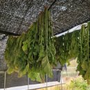 입동농장 이미지