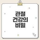 닥터린 콘드로이친 무릎 통증에 효과 있을까