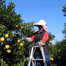 한성영농 이미지