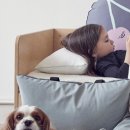 몽슈슈 강아지 이미지