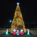 왕송못동로 이미지