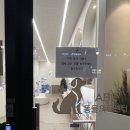 에이비씨(ABC)동물병원 | 과천 24시 동물병원 abc동물병원 다녀온후기