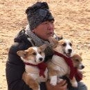 개밥주는 남자 이미지