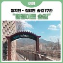 황지천~철암천 힐링숲길(1구간) 이미지