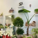 꽃길이어라(플라워디자인) | 대전 유성구 봉명동 꽃집 꽃길 추천 빼빼로데이 꽃다발 선물 후기