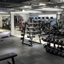 피트니스 타운 이미지