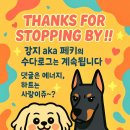 금화왕돈까스장안점 이미지