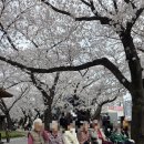 안식관소규모요양센터 | 양산 방문요양 상북면 주간보호센터 추천 | 새양산방문요양 실제 이용 가이드