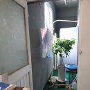 로터리당구장 이미지