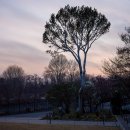 용산구청 이미지