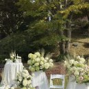 정원뜰 | 성남시 공공예식장, 새마을운동중앙회 돌뜰정원 야외 결혼식 후기 &amp; 안내