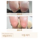 네일프리다 이미지