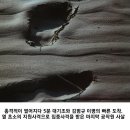 북한 무장공비 3명 잡은 전설의 일병 이미지