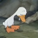 광주038 | 038. SIN 리브끝 싱가코리안이 된 나