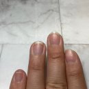 애니피아 | 저렴한 매니큐어: 프로랑스 다이아나 무색 투명 매니큐어 후기