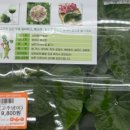 시티팜 주식회사 이미지