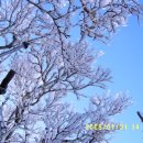 제주항연안여객터미널 이미지