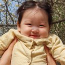 와동주사랑 지역아동센터 | [8개월 아기] 참깨 육아 일기 13_문화센터 첫 수강, 드디어 배밀이 시작, 청주육아종합지원센터 장난감...