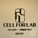 멜로디 | 천안 불당동 다이어트 셀포랩 멜로디 후기- 체지방감소, 근육량 증가