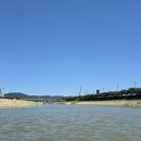 북천꽃단지 이미지