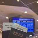 로또렌트카 | 부산항 대마도 노바호 렌트카 당일치기 여행 코스 후기