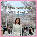 중앙근린공원 서원주초 인근 둘레길 입구 화장실 | 2026 인천대공원 벚꽃축제 일정 총정리｜벚꽃 명소 BEST5 + 주차·개화시기까지