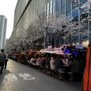 그포장마차 | 서면 벚꽃 포장마차 거리 내돈내산 후기 | 야장 롯데백화점 후문 실시간