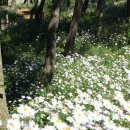 호수정원 이미지