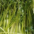 대성야채,과일 이미지