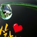 틈/황성주시인 이미지