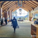 용평 버치힐골프클럽 | [강원도 평창] 모나 용평 버치힐 cc 올해 마지막 필드 아쉬움 가득한 후기!