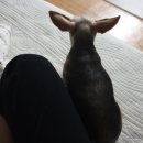 군포로476번길 이미지