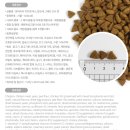 (주)피앤비 인터내셔널 이미지