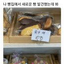 휘난새