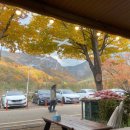 삼보여관 | 청송 주왕산 오랜 맛집 삼보식당