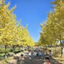 🌸 방울새반 드림파크 야생화단지 현장학습🌼 이미지