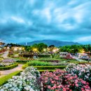 곡성세계장미축제장 이미지