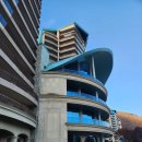 소노트랜스 | 홍천 단풍 구경 소노펠리체 비발디파크 주변 거리