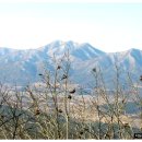 (주)백학 이미지