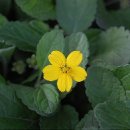 오공공원 이미지