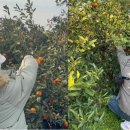 따자!!PC 이미지