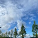 임진물새롬센터 오토캠핑장 이미지