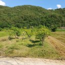 명석면사무소 이미지